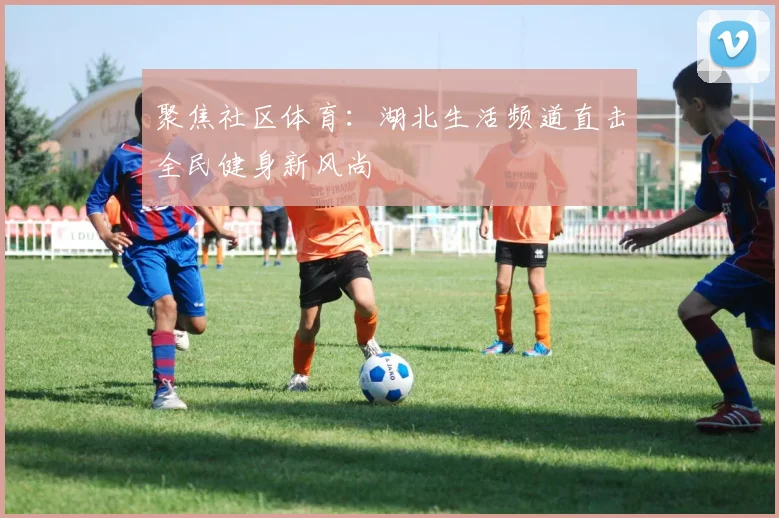 聚焦社区体育:湖北生活频道直击全民健身新风尚