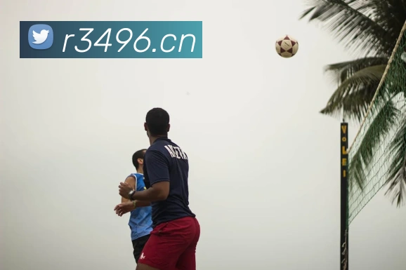 爱游戏ayx官方登录入口APP 封面图